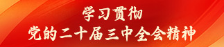 学习贯彻党的二十届三中全会精神